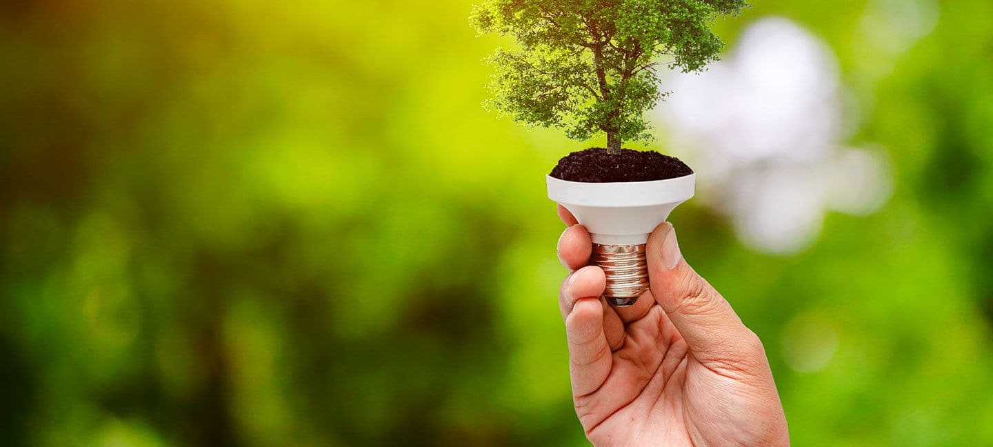 energia elettrica rinnovabile
